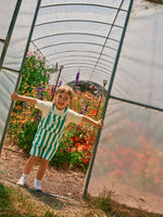 GOLIDE + ACE HAPPY STRIPE BURTON OVERALLS
