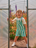 GOLIDE + ACE HAPPY STRIPE BURTON OVERALLS