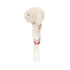 JELLYCAT BLOSSOM CREAM BERRY RING RATTLE