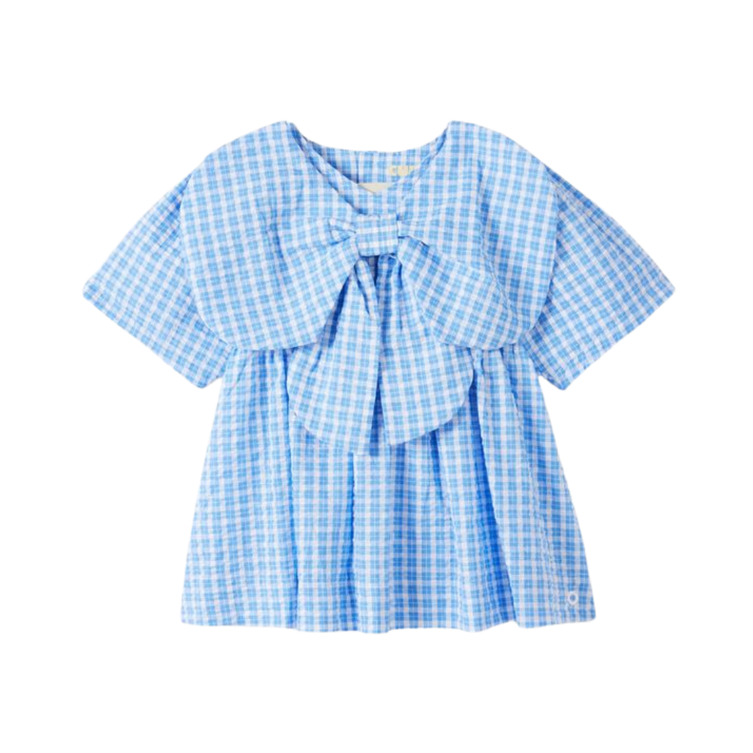 CUBBY POPPY DRESS - BLUISH CHECK