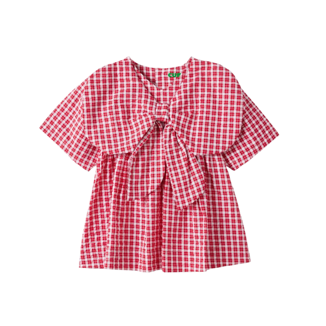 CUBBY POPPY DRESS - RUBY CHECK