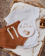 SNUGGLE HUNNY REVERSIBLE MILESTONE CARDS - LION & SUNRISE