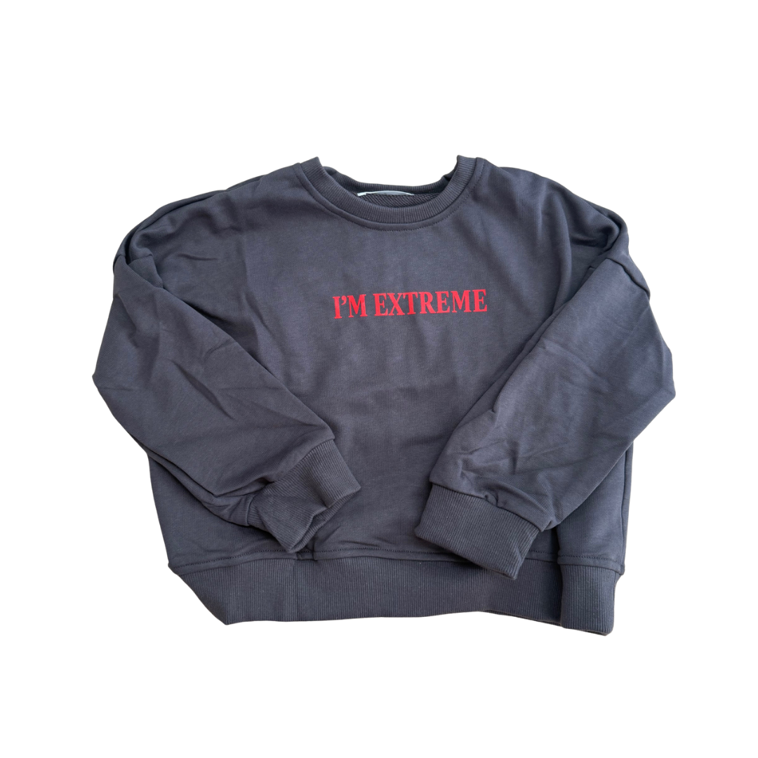 DEAR DARCY I'M EXTREME JUMPER - CHARCOAL & RED