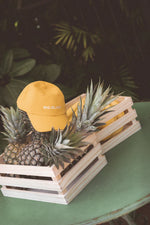CINNAMON BABY BIG ISLAND CAP - MUSTARD