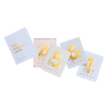 FOX & FALLOW BABY MILESTONE CARDS - POWDER BLUE