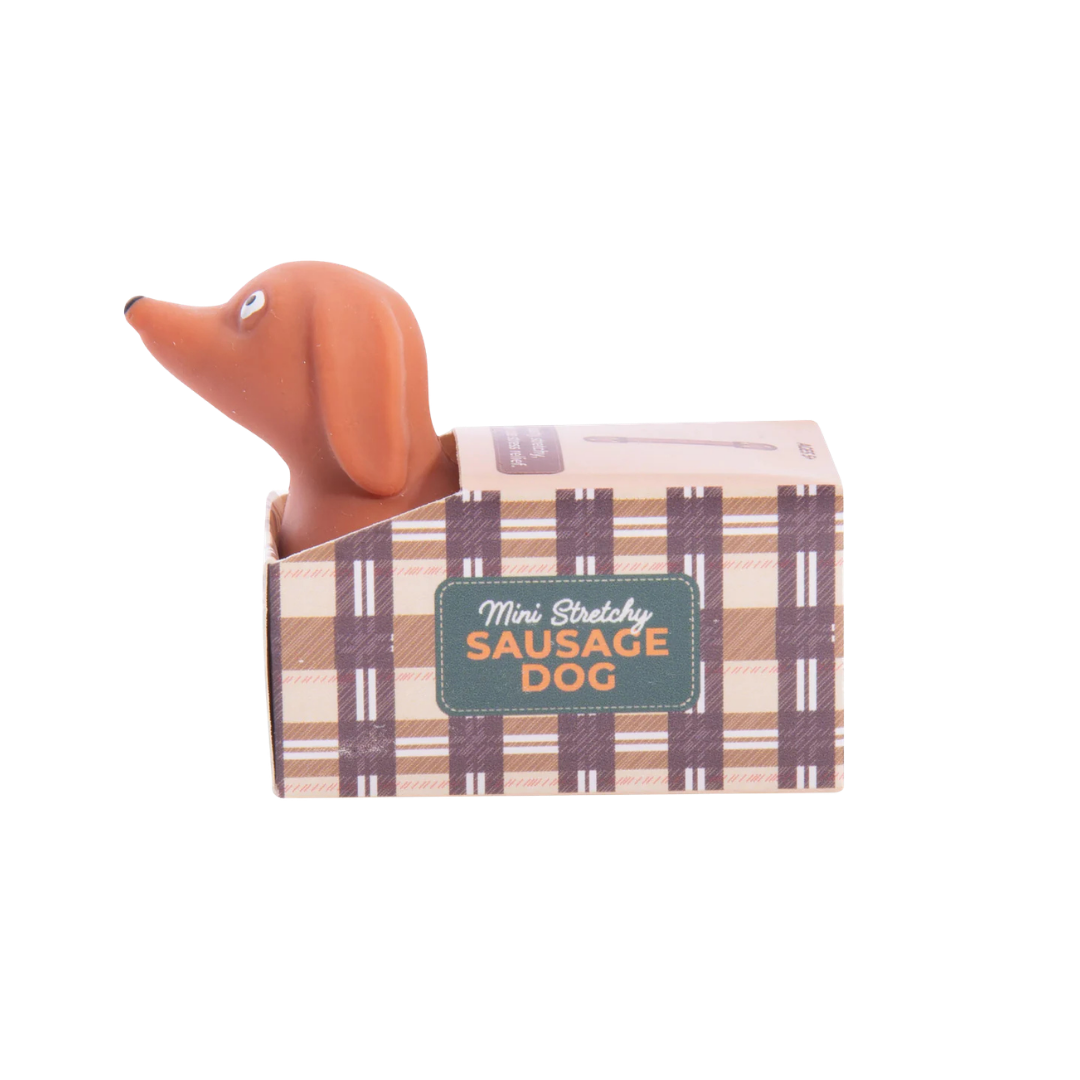 DISCOVERY ZONE MINI STRETCHY SAUSAGE DOG