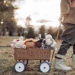DINKUM DOLLS COZY DINKUMS - KOALA MOPPET GREY