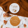 SNUGGLE HUNNY REVERSIBLE MILESTONE CARDS - LION & SUNRISE