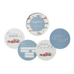 SNUGGLE HUNNY LITTLE RACERS & INDIGO REVERSIBLE MILESTONE CARDS