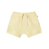 SNUGGLE HUNNY SUNIGHT SHORTS