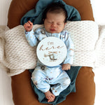 SNUGGLE HUNNY TAKING FLIGHT & PEBBLE REVERSIBLE MILESTONE CARDS